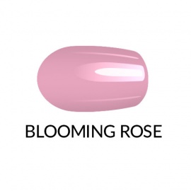 BLOOMING ROSE