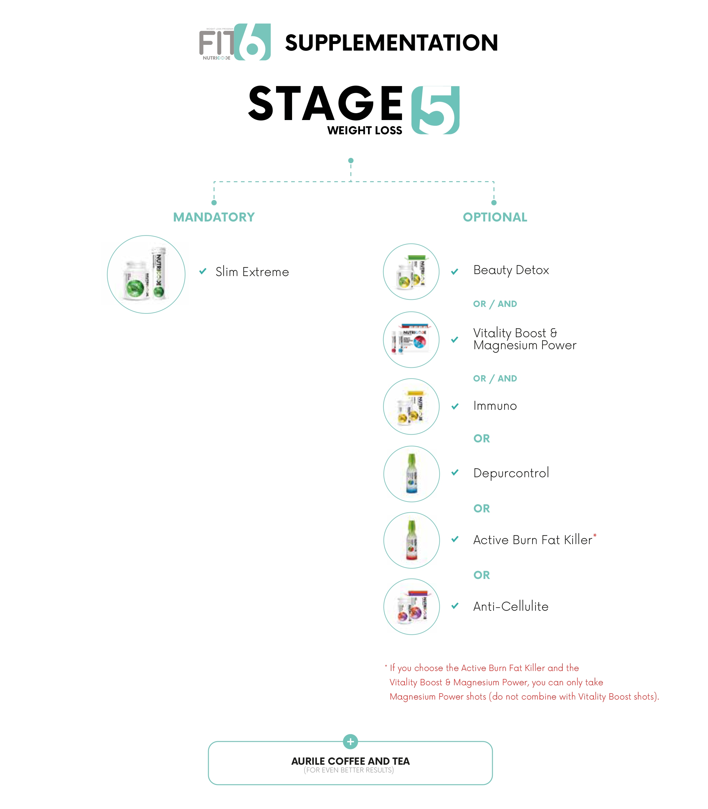 program slabit fit 6